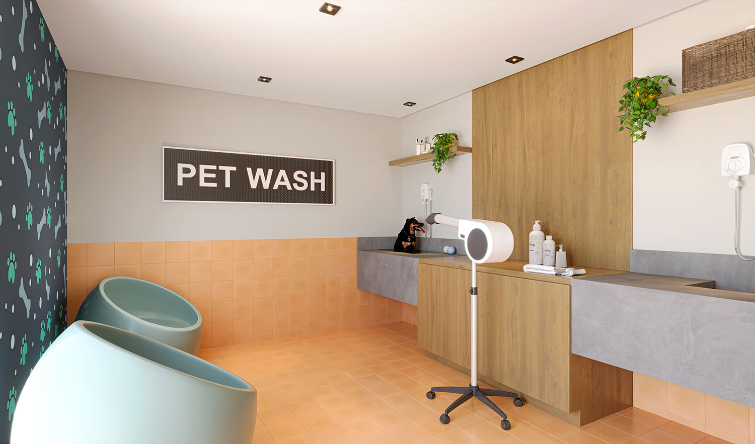Pet wash