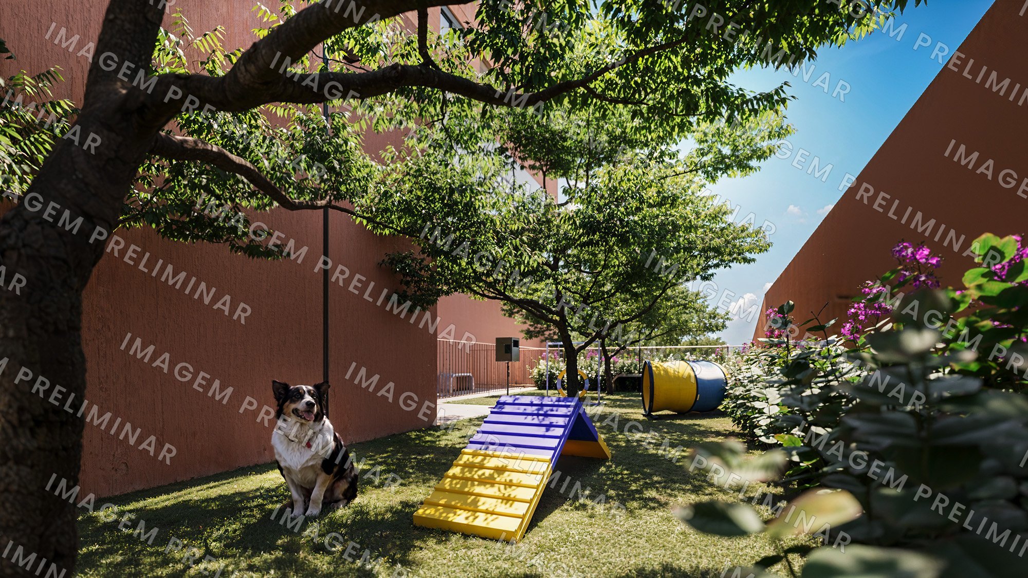 Perspectiva preliminar do pet place